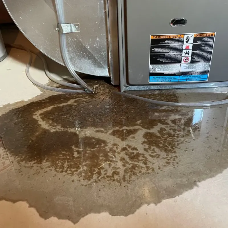 Pipe Burst and Leak Restoration in Franklin County, NY